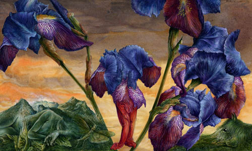 Dietrich Schuchardt - Aus Meinem Garten (From My Garden) - Blaue Lilien (Blue Lilies) - 2004 gouache on board